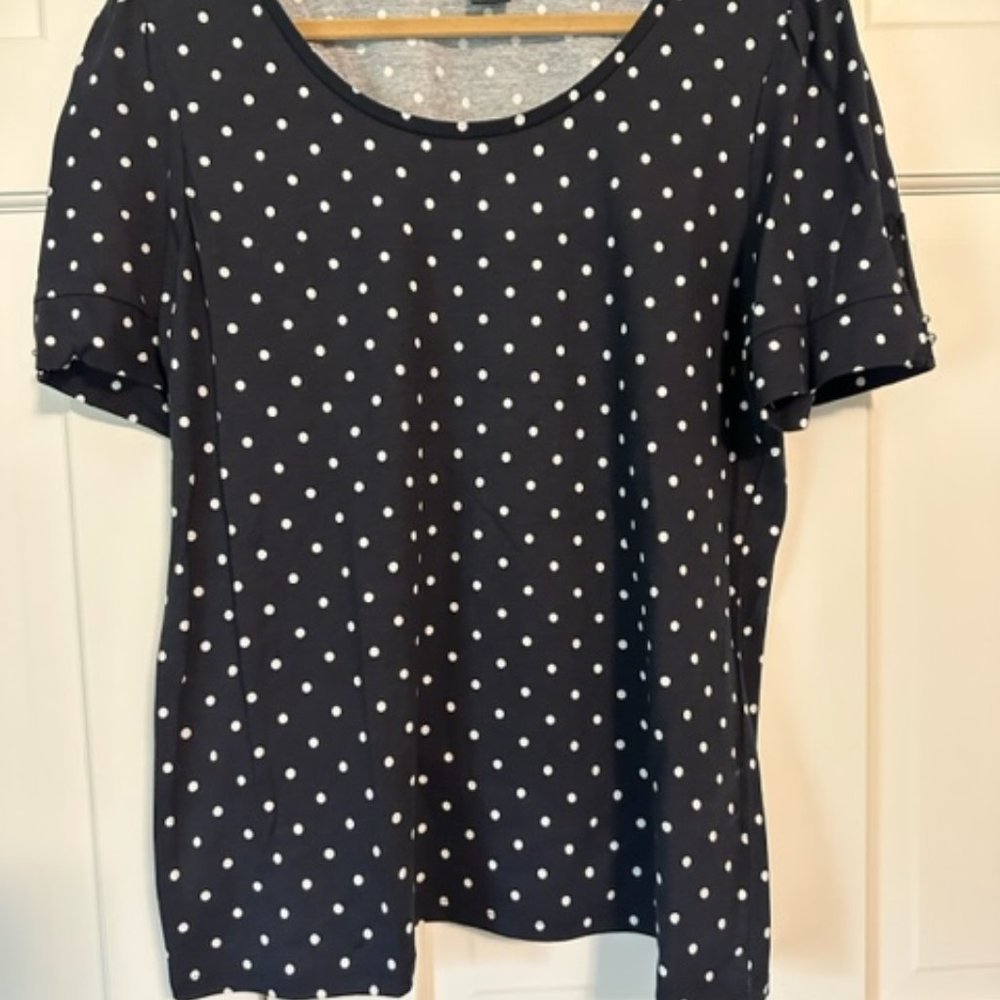 Ann Taylor Size XL Scoop Neck Short Sleeves Never Worn